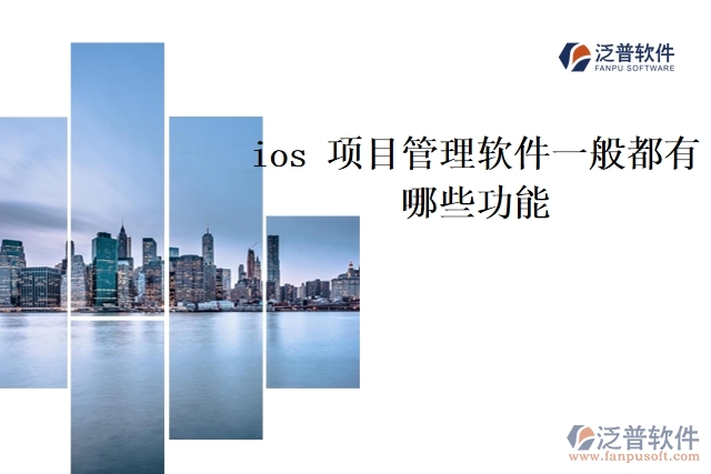 ios 項目管理軟件一般都有哪些功能