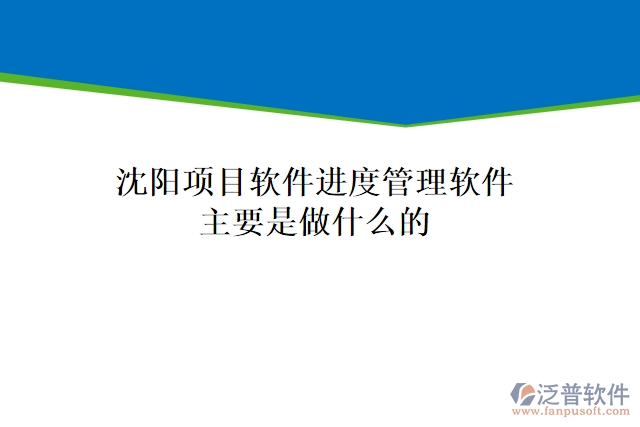 沈陽項(xiàng)目軟件進(jìn)度管理軟件主要是做什么的