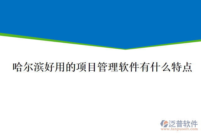 哈爾濱好用的項目管理軟件有什么特點