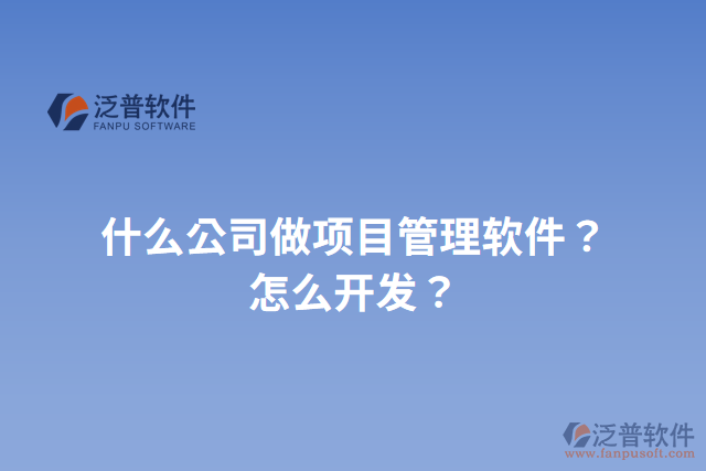 什么公司做項目管理軟件？怎么開發(fā)？