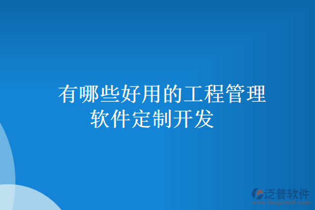 有哪些好用的工程管理軟件定制開發(fā)