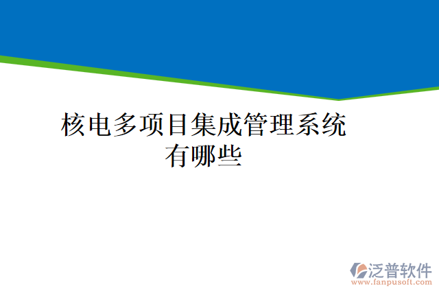 核電多項目集成管理系統(tǒng)有哪些