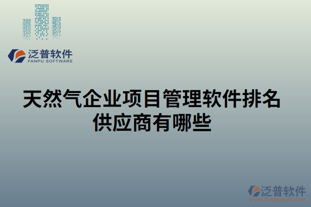 天然氣企業(yè)項(xiàng)目管理軟件排名供應(yīng)商有哪些