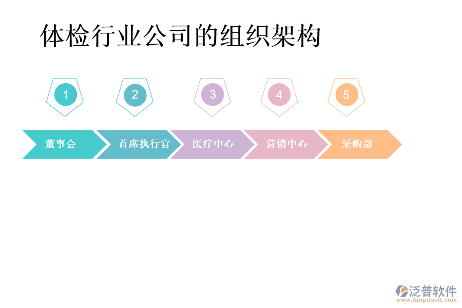 體檢行業(yè)公司的組織架構(gòu)