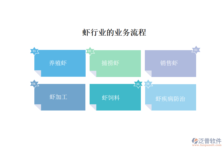 蝦行業(yè)的業(yè)務流程