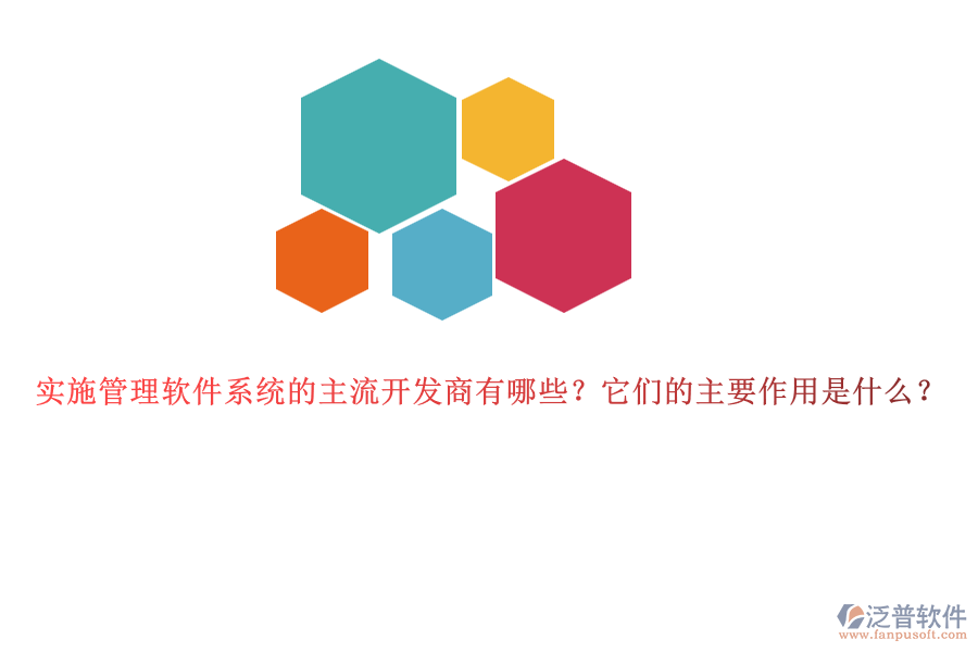 實施管理軟件系統(tǒng)的主流開發(fā)商有哪些？它們的主要作用是什么？