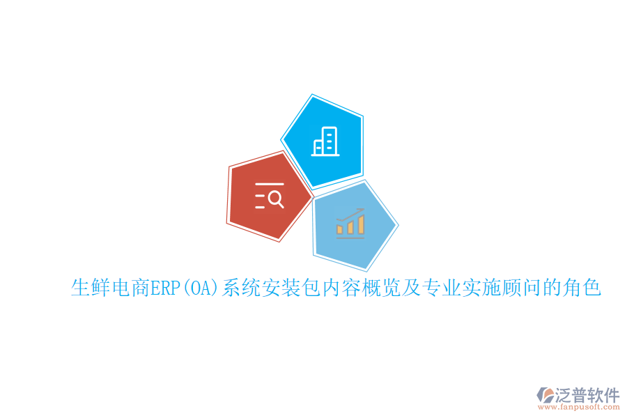 生鮮電商ERP(OA)系統(tǒng)安裝包內(nèi)容概覽及專業(yè)實施顧問的角色