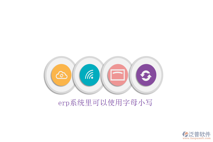 erp系統(tǒng)里可以使用字母小寫