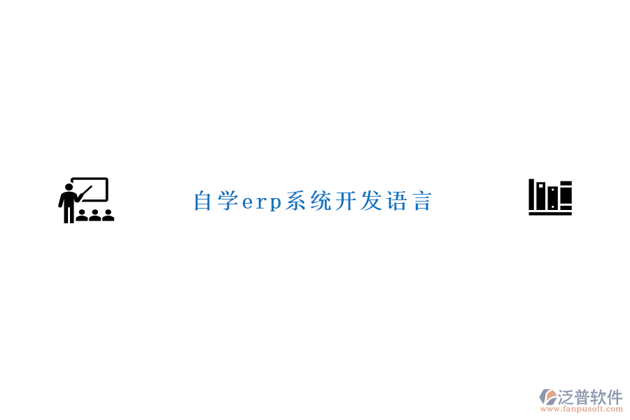 自學(xué)erp系統(tǒng)開(kāi)發(fā)語(yǔ)言